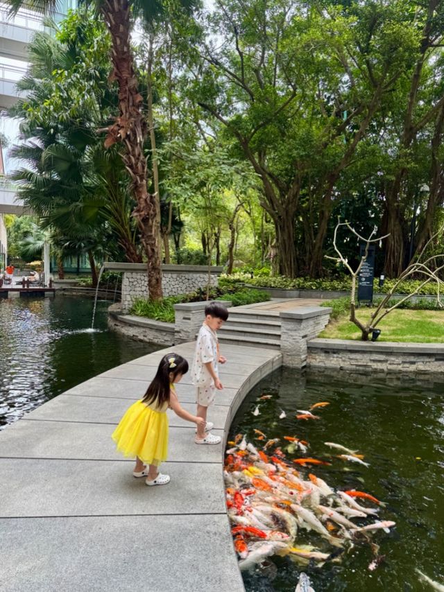 🌴在深圳挖到现实版童话秘境！这家酒店把乐园搬进度假里