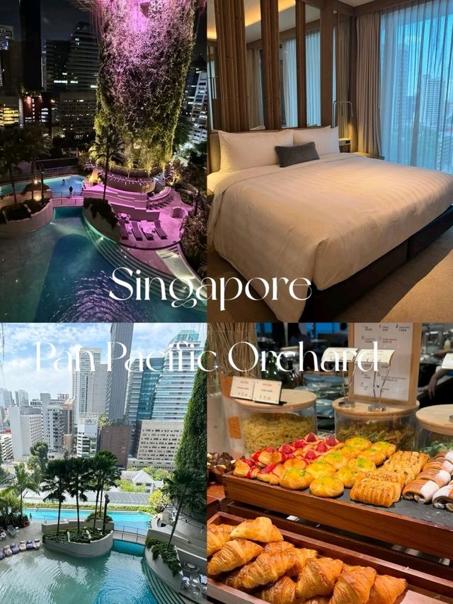 Singapore | Sky Garden White Sand Pool - Pan Pacific Hotel 🍃
