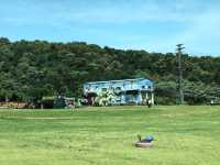 常州茅山森林世界親子遊全攻略 | 餵天鵝、勇闖魔法森林、邂逅植物