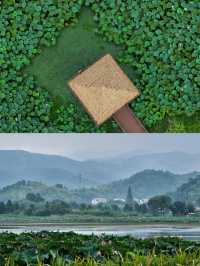寧波東錢湖夏日攻略｜解鎖正確打開方式