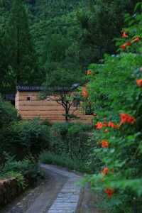 你哋住過咁樣嘅酒店未？群山環繞，視野開闊，十里芳菲香積嶺村落