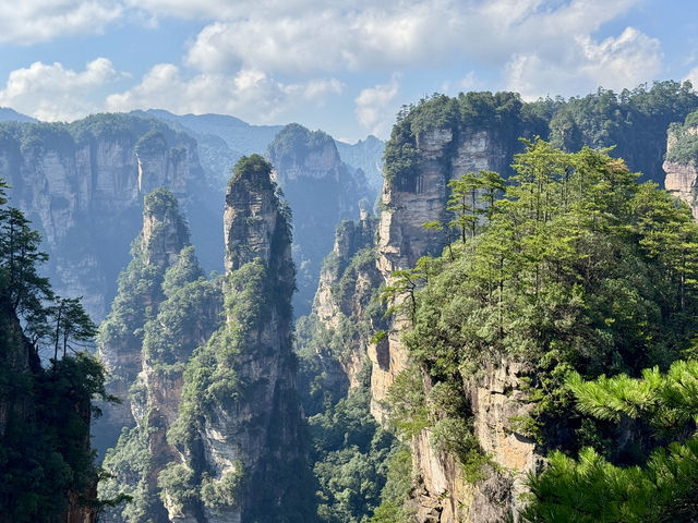 Zhangjiajie National Forest is a must see