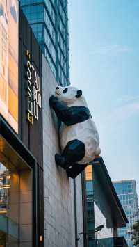 爬牆大熊貓 巴適嘅成都3日2夜旅行攻略