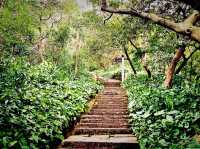 Foshan Xiqiao Mountain Forest Park: Where Nature Meets Legend
