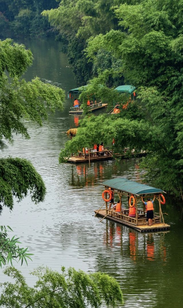 竹海盛景