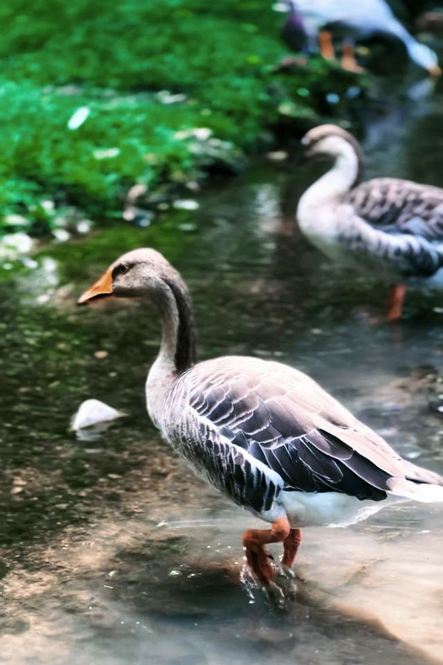 北京被低估的免費公園｜不去後悔系列