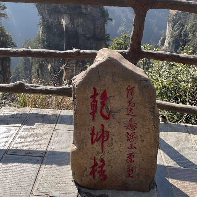 【中国 湖南省】世界遺産🌏 中国初の国家森林公園「張家界国家森林公園」✨🌲