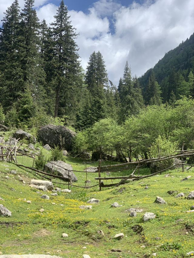 Siguniangshan - changpinggou In June