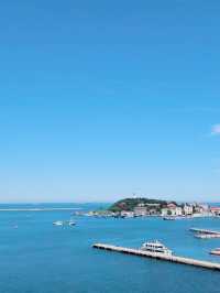 煙台已回（不用避雷）丨真的很假