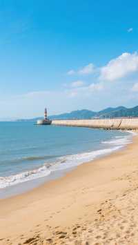 這裡不止是上海最南端碼海岸線更是田園詩意與非遺文化的溫柔棲所