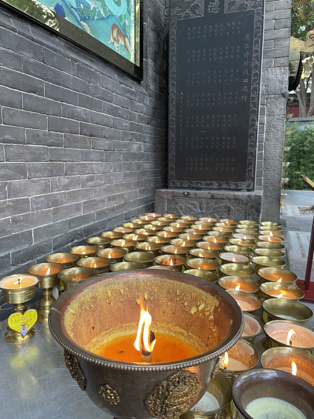 Xi'an Weekend: City Walls, Temples, and Ancient Vibes 🏯✨