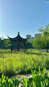 璧山一日遊寶藏路線闖進城市裡的詩意氧吧