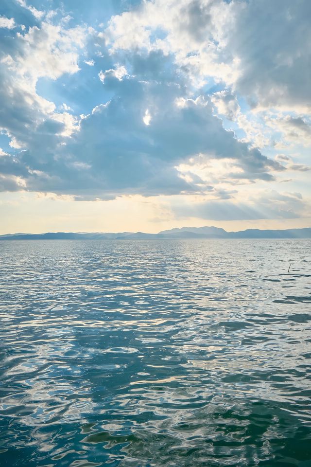 撈魚河：水杉隧道出片，昆明天然氧吧