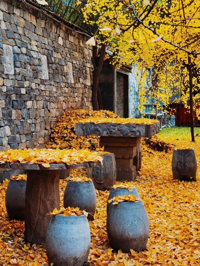 西安古觀音禪寺：一眼千年的金色傳奇