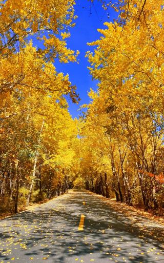 The beauty of Ziwu Ridge is simply indescribable