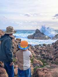 西澳D2:Cape Naturaliste懸崖海景