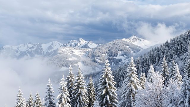 看嵩山雪景，約嗎