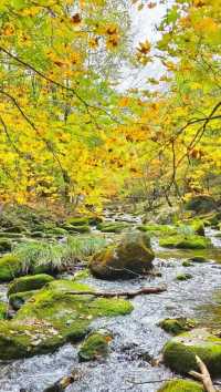 本溪老邊溝｜一腳踏進漫山紅透的童話世界