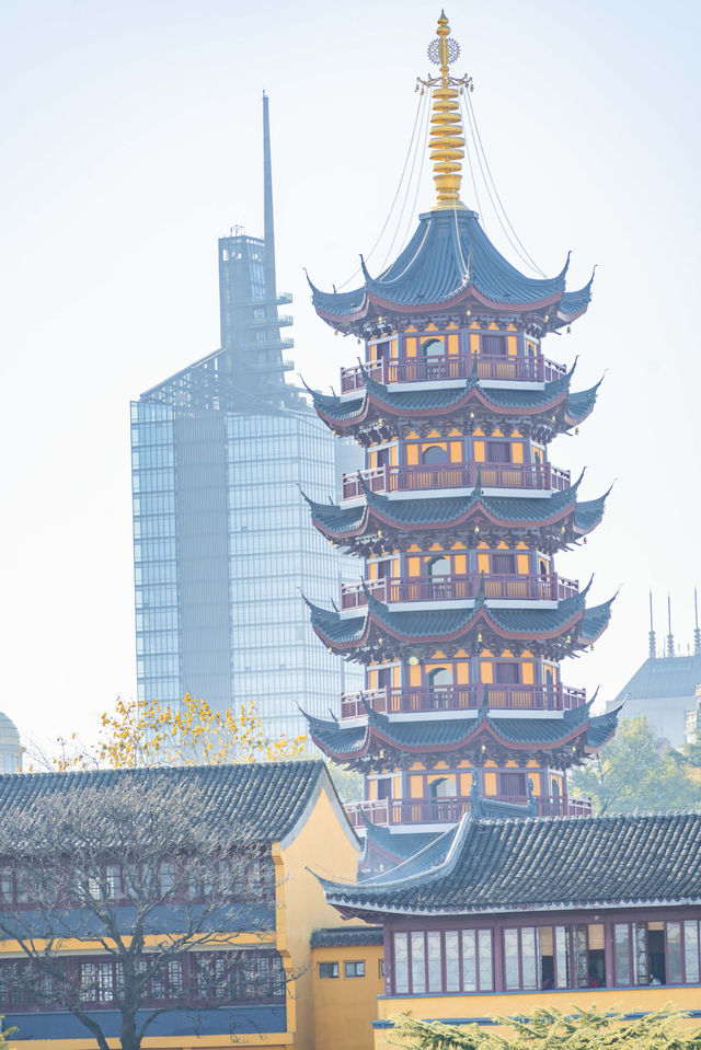 南京城牆上拍。雞鳴寺的古今同框的秋天