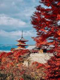 秋日京都物語，紅葉季也太美了