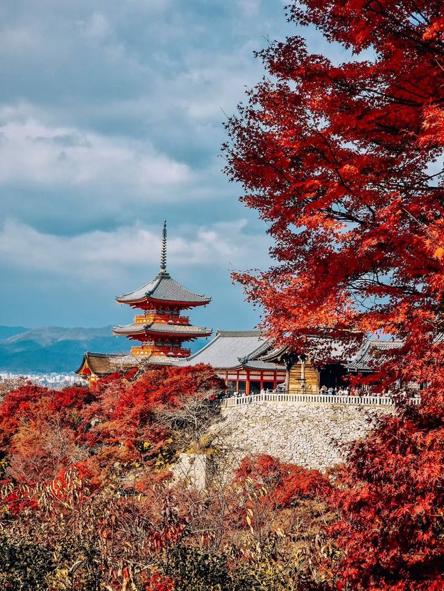 秋日京都物語，紅葉季也太美了