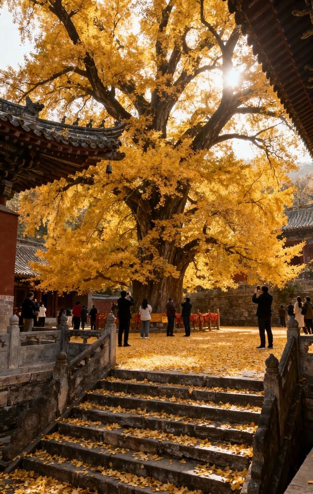 北京賞秋必收藏｜2025多彩京秋全攻略一鍵解鎖三大黃金路