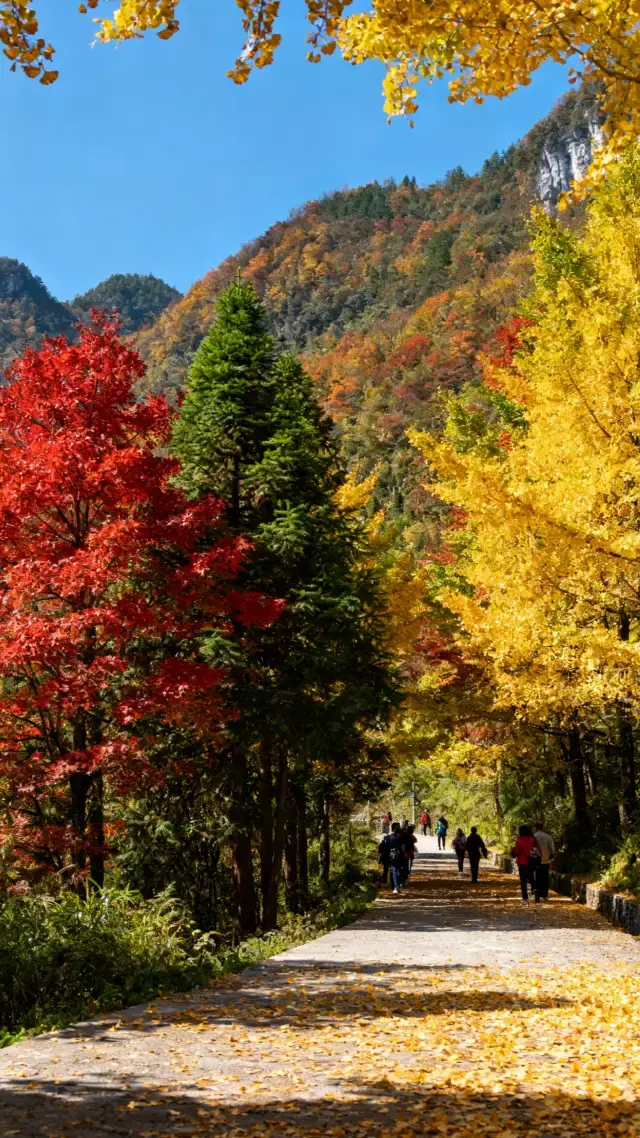 湖北利川七天六晚旅遊攻略，預算3800