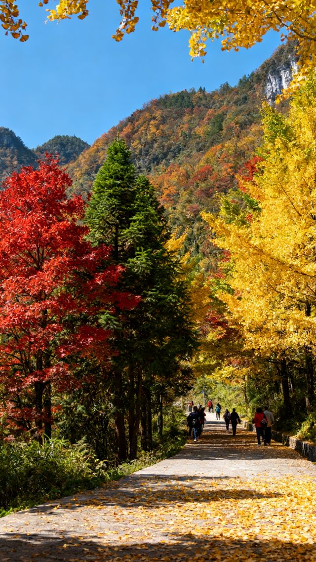 湖北利川七天六晚旅遊攻略,預算3800 湖北利川七天六晚旅遊攻略,預算3800