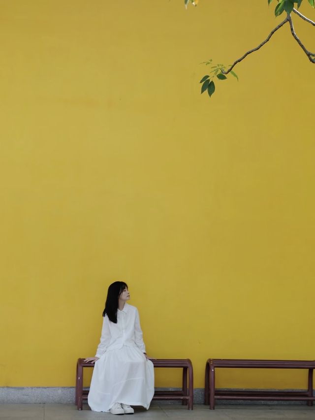 廈門|晴天探秘最美建築群 廈門|晴天探秘最美建築群