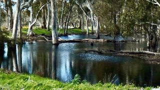 A Marvelous Wildflower Safari Adventure