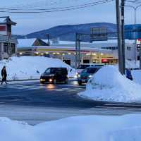 ❄️홋카이도의 눈, 하늘에서 내린 솜사탕
