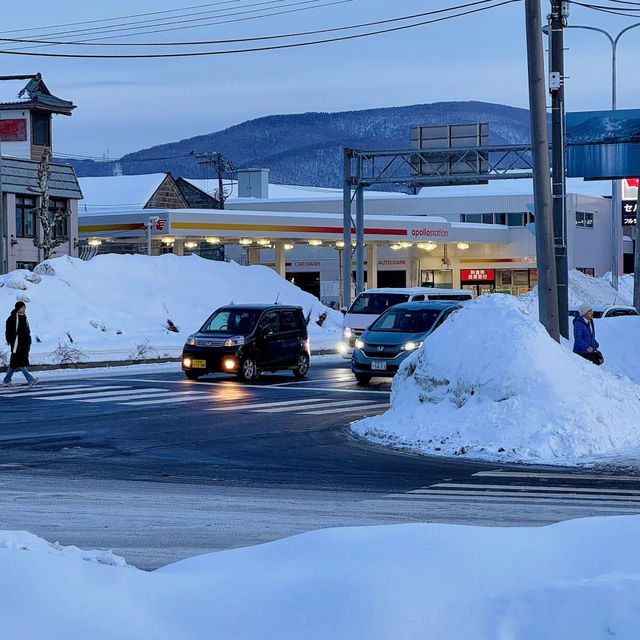 ❄️홋카이도의 눈, 하늘에서 내린 솜사탕