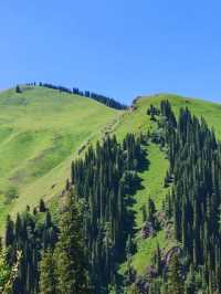 伊犁包車遊封神級體驗不看後悔