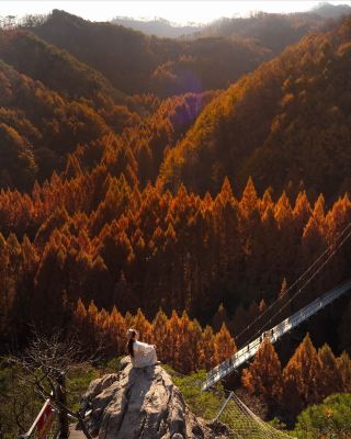 朱紅の秘境大公開！長泰山VS上昭洞、どちらが絶景？
