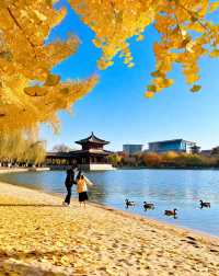 打卡唐風秋韻|邂逅城市邊的詩意與溫柔|收穫滿滿的治癒與快樂