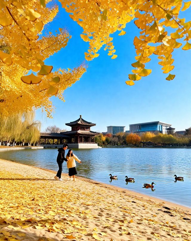 打卡唐風秋韻|邂逅城市邊的詩意與溫柔|收穫滿滿的治癒與快樂