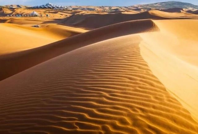 2500元！鄂爾多斯3天玩轉沙漠、草原