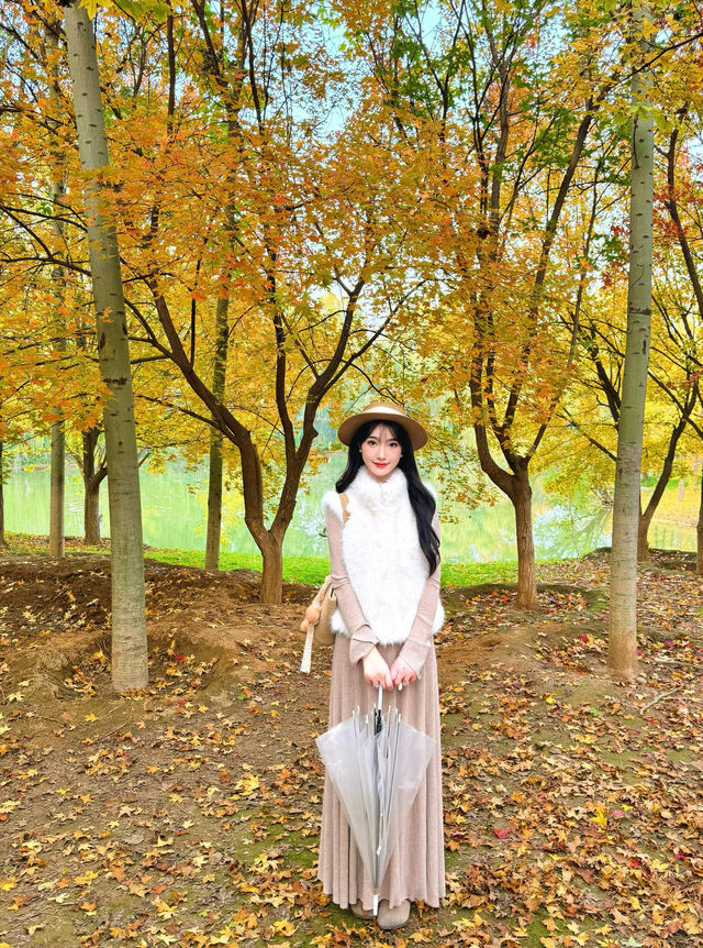 西安小眾賞秋秘境浐灞濕地公園銀杏打卡攻略