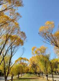 克孜爾千佛洞,遙遠的龜茲古國故事