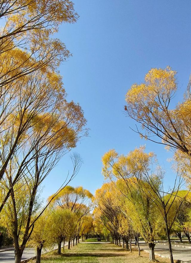 克孜爾千佛洞,遙遠的龜茲古國故事 克孜爾千佛洞,遙遠的龜茲古國故事