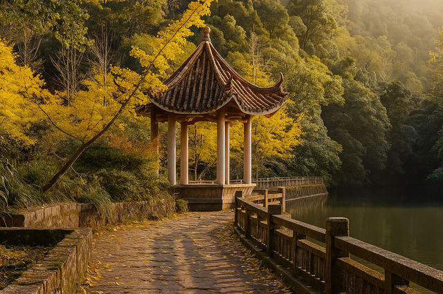 廣東最像秋天地方｜去南雄追一場金黃銀杏雨