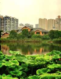 陰雨天都能玩出花樣嘅長沙西湖公園，簡直係城市入面嘅寶藏綠洲！邊個話落雨天就影唔到氛圍感大片？呢篇打卡