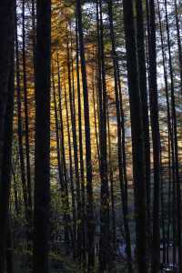 秦嶺留壩環線之情人谷