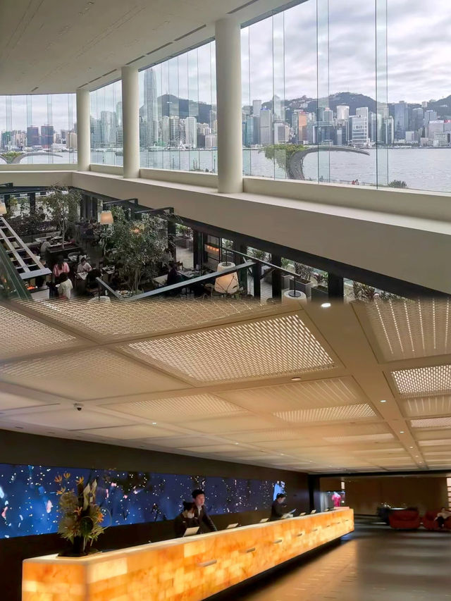 香港頂奢旅居天花板!麗晶酒店躺住維港C位,把港風浪漫焊在日常 香港頂奢旅居天花板!麗晶酒店躺住維港C位,把港風浪漫焊在日常