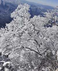 誰懂啊！莽山2025首場霧凇美哭😭 住呢間民宿直接瞓喺度睇冰雪仙境