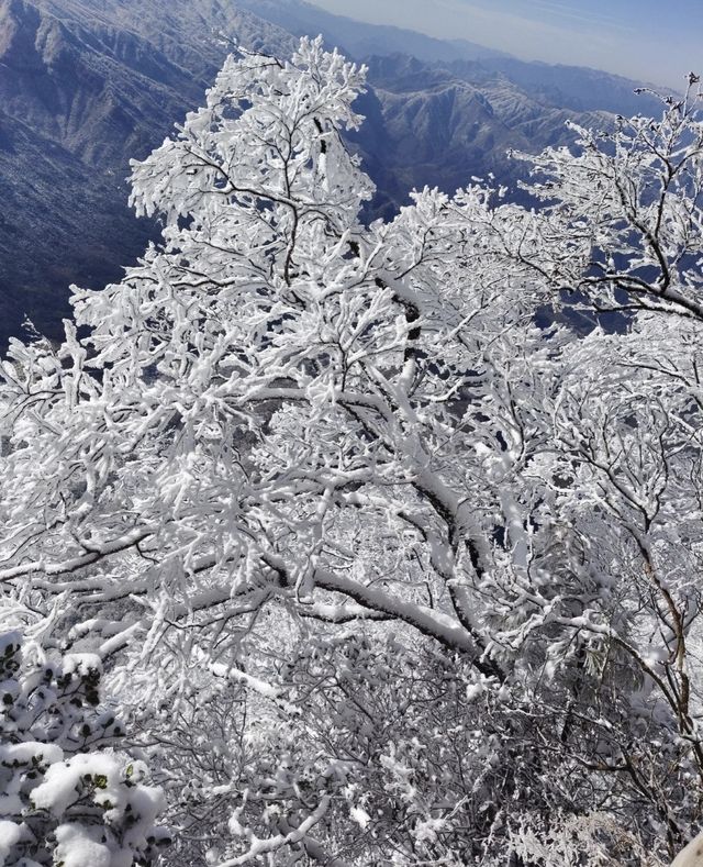 誰懂啊！莽山2025首場霧凇美哭😭 住呢間民宿直接瞓喺度睇冰雪仙境