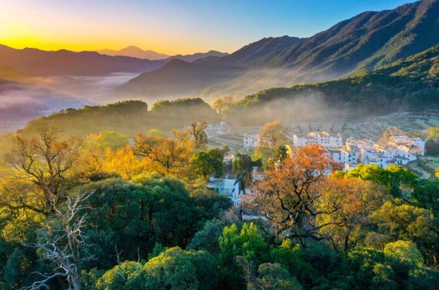 婺源5日遊秋假特惠