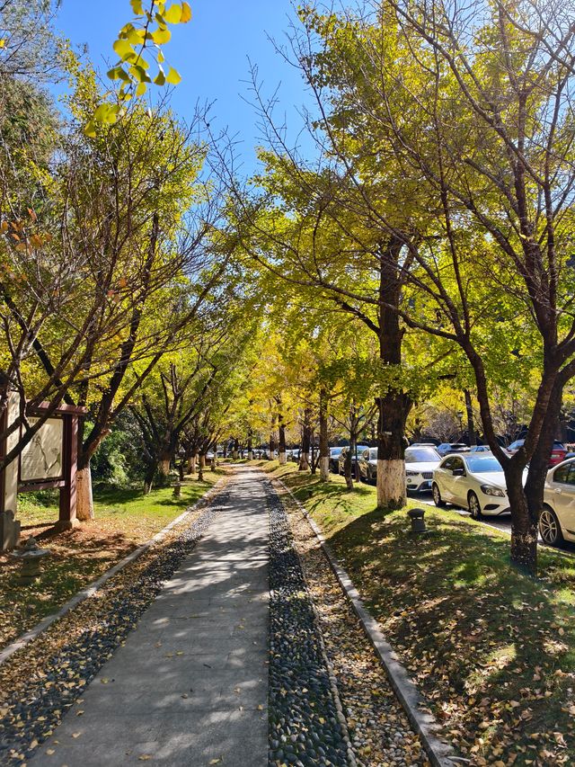 文成安福寺 文成安福寺