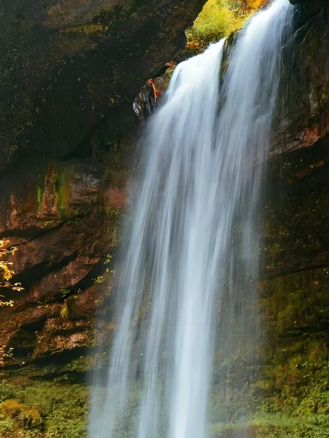 成都周邊賞秋勝地！龍蒼溝彩色幽谷+水上棧道 輕鬆斬獲