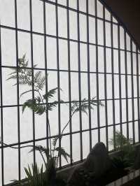 廣州南沙深度漫遊全景攻略